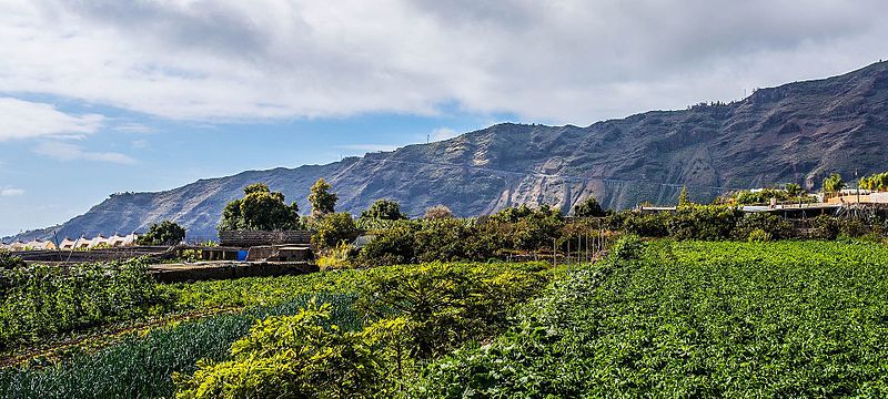 Los Llanos, Venezuela, Top 10 Best Places To Visit In Venezuela